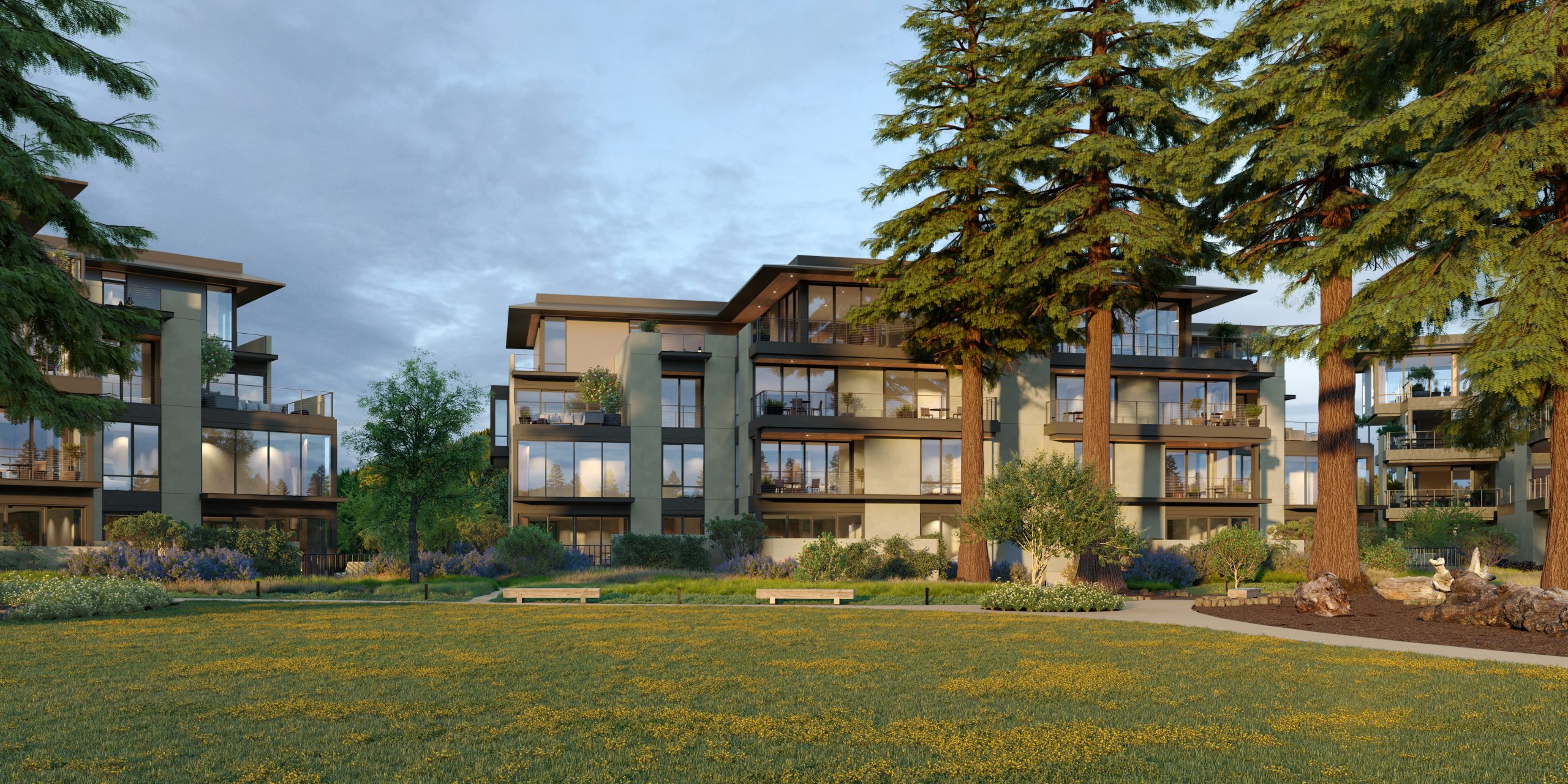 The Canopy at Mill District Weitz